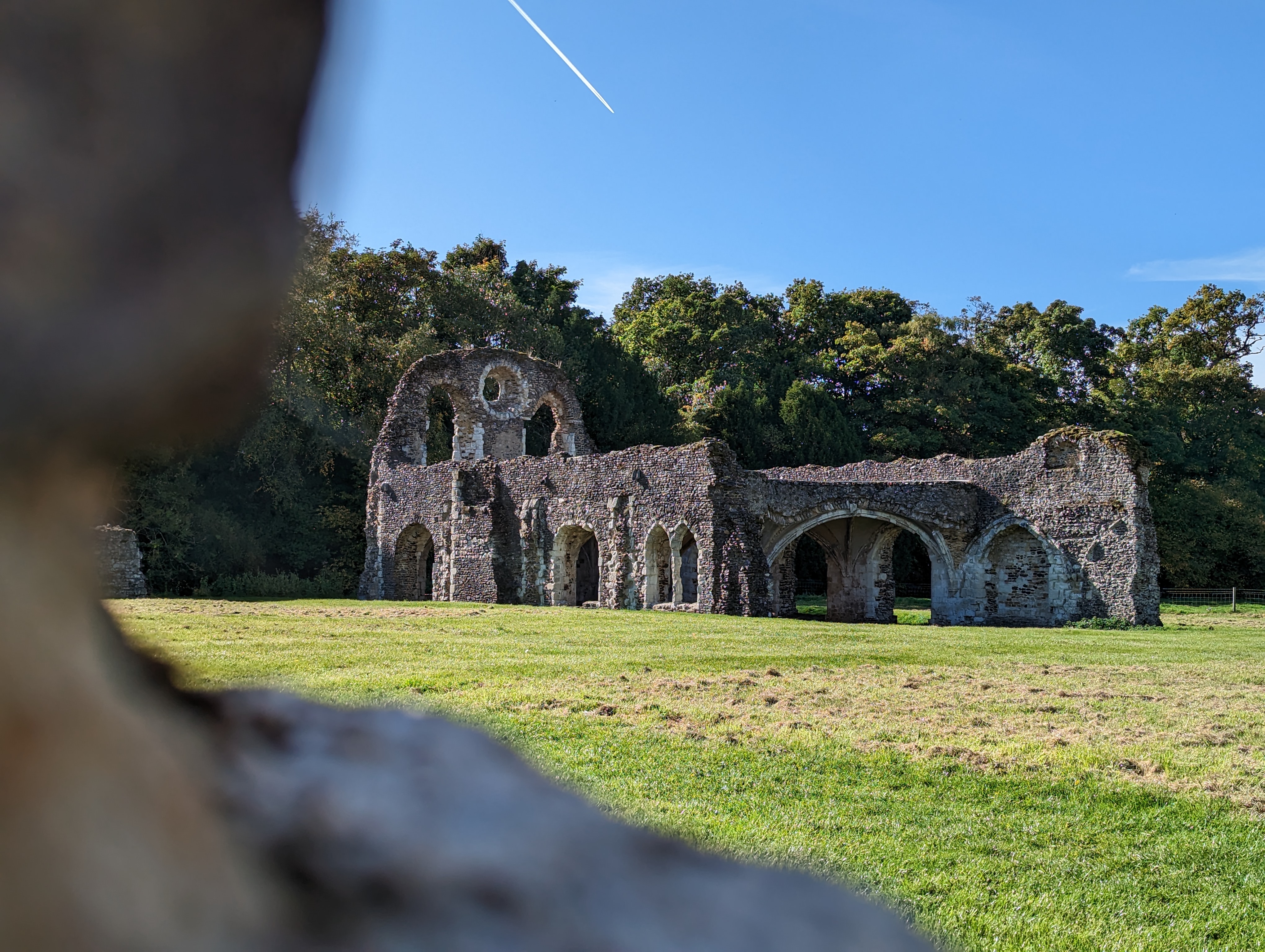 2x zoom photo taken with the Google Pixel 7.