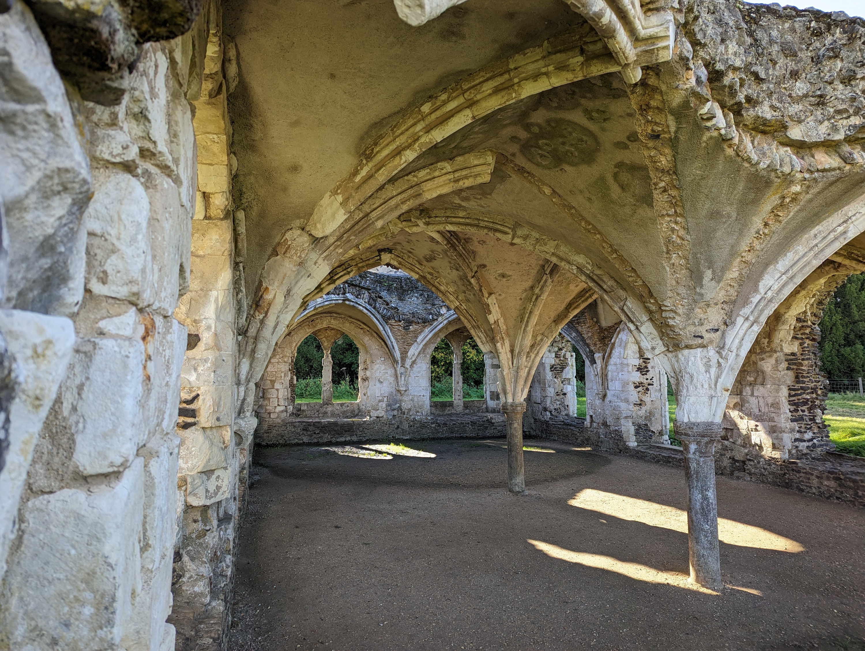 Main camera photo taken with the Google Pixel 7.