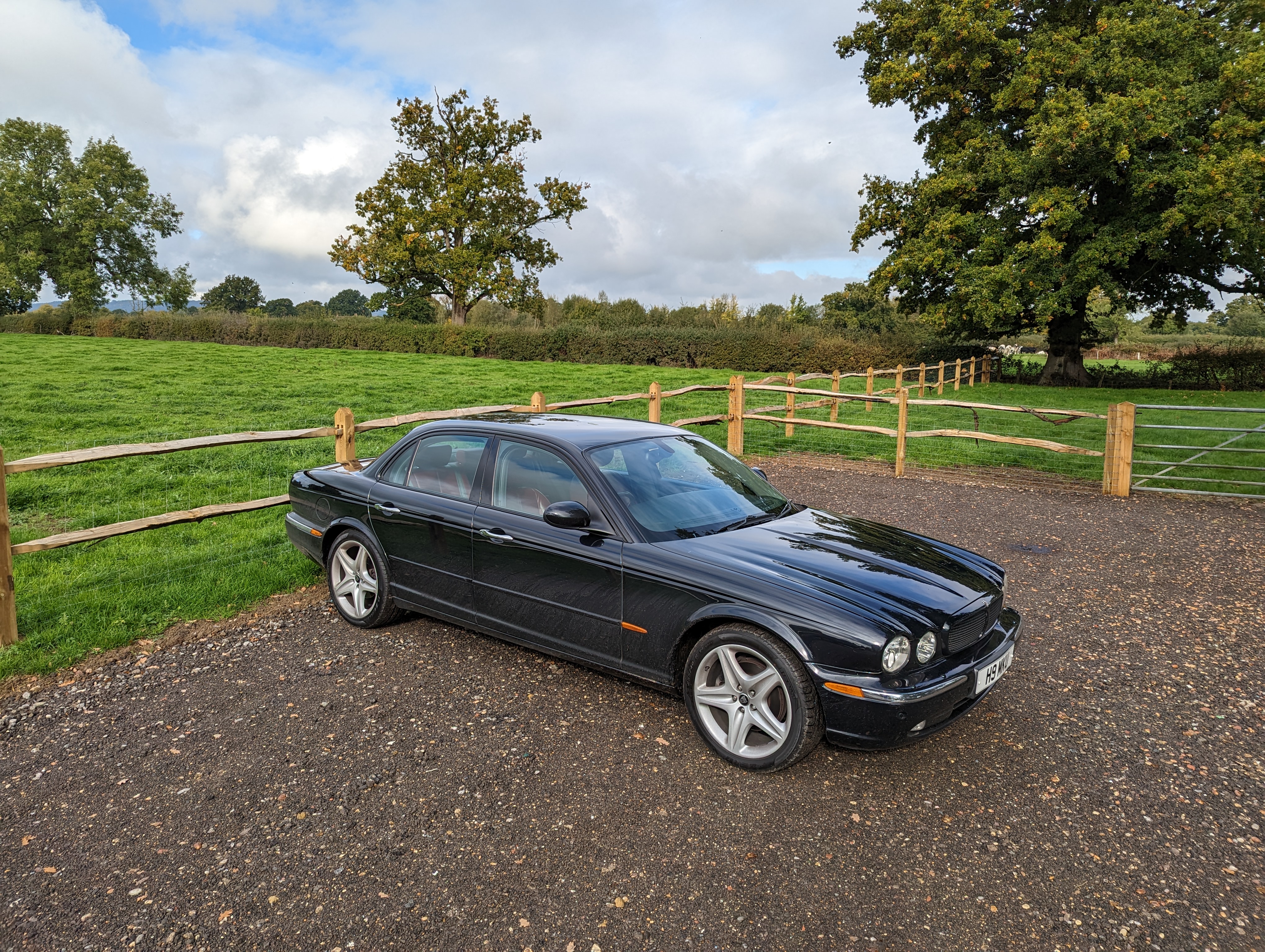 Main camera photo taken with the Google Pixel 7.