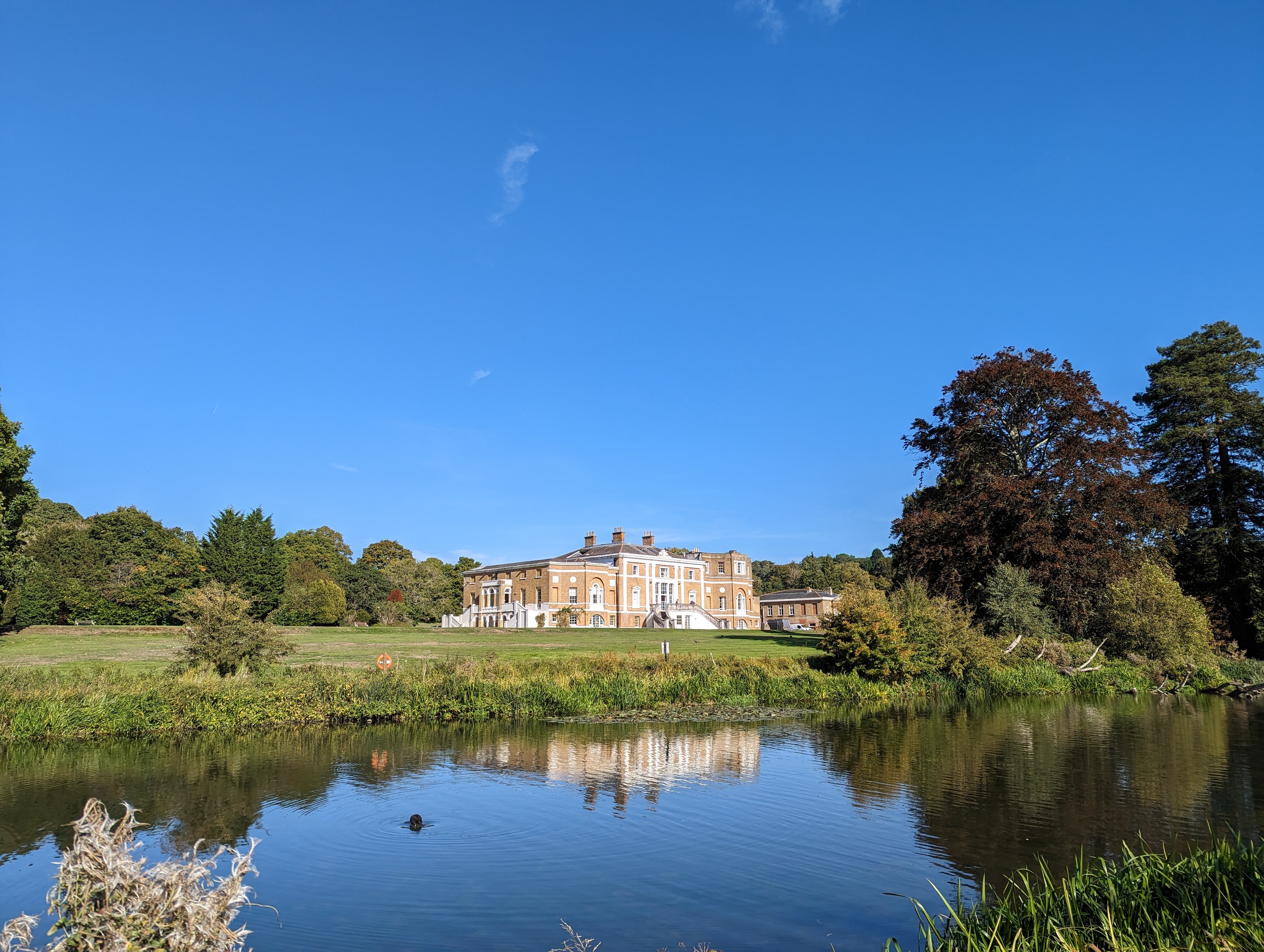 Main camera photo taken with the Google Pixel 7.