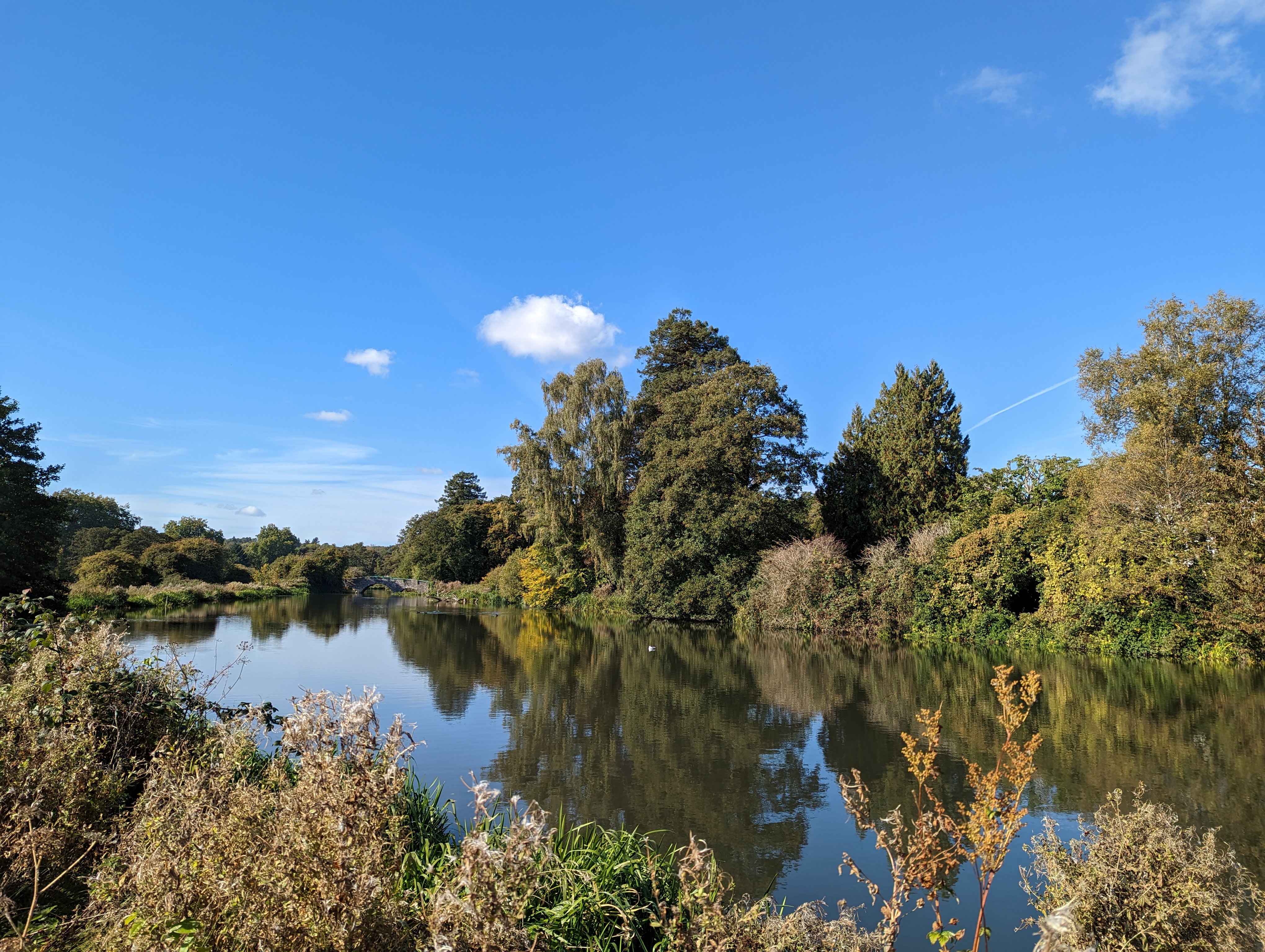 Main camera photo taken with the Google Pixel 7.