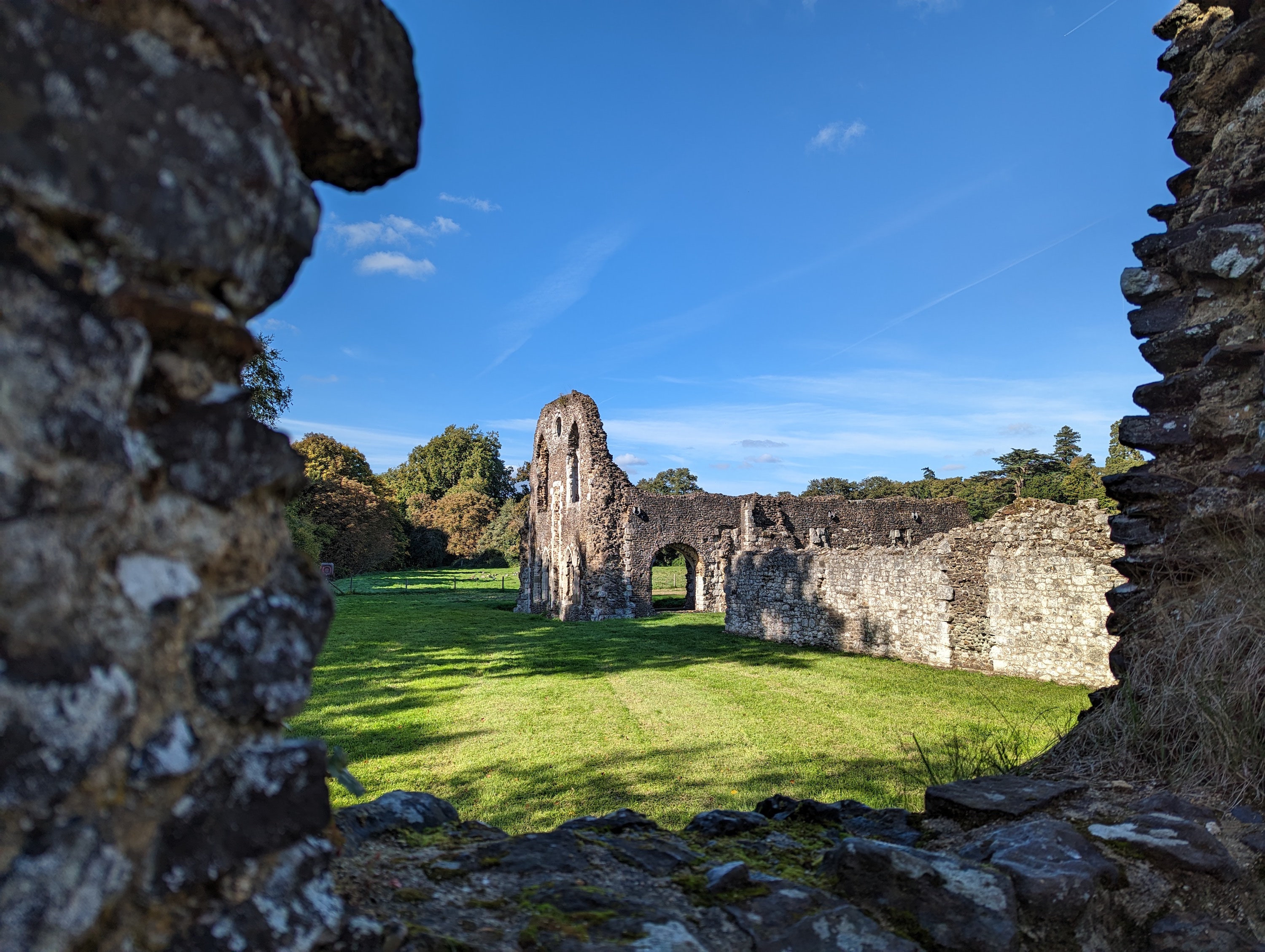 Main camera photo taken with the Google Pixel 7.