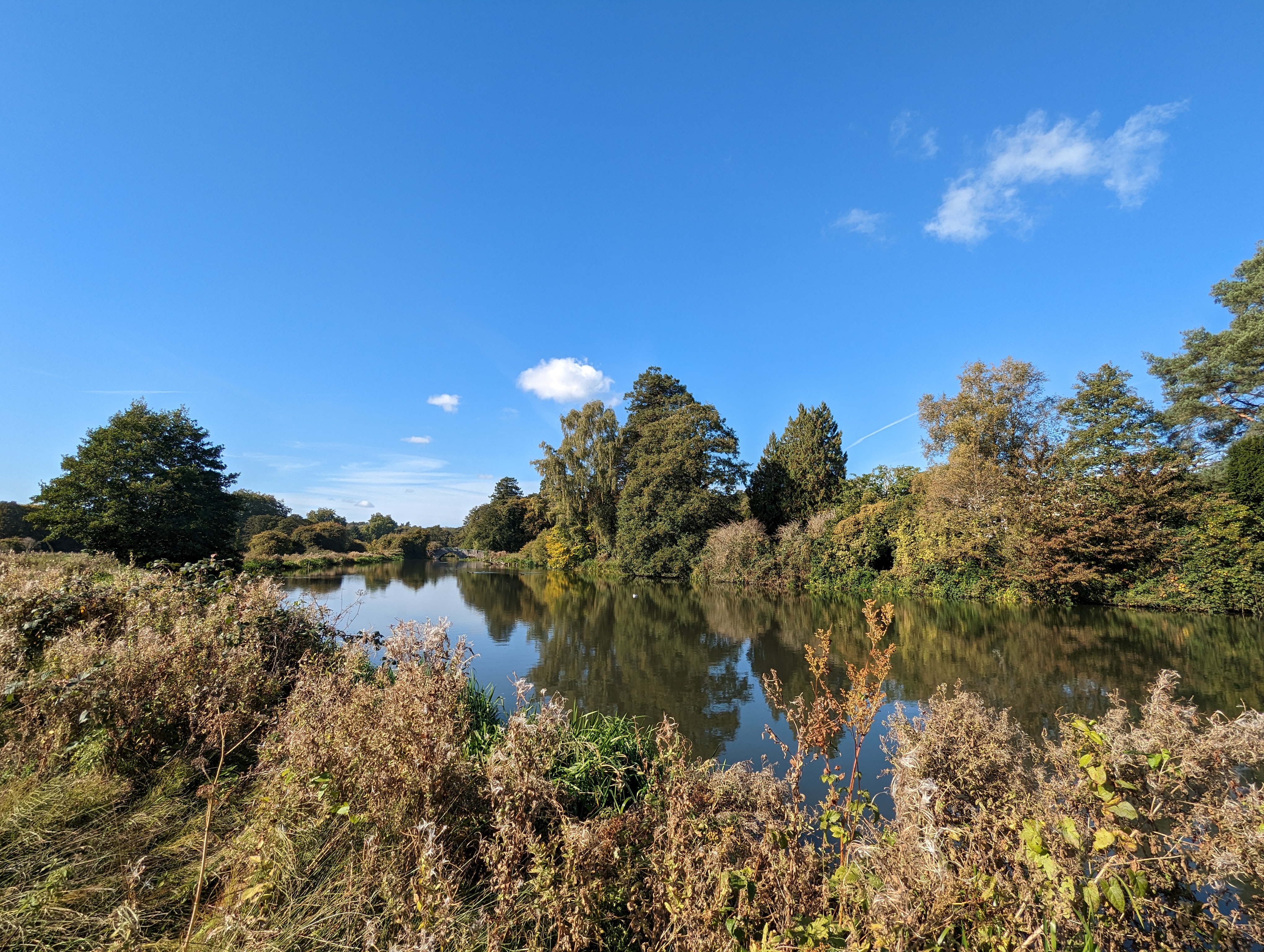 Wide-angle photo taken with the Google Pixel 7.